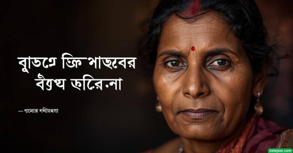 যখন আপনার ভালোভাবে পোড়ার প্রয়োজন হয় তখন ব্যঙ্গাত্মক অপমান