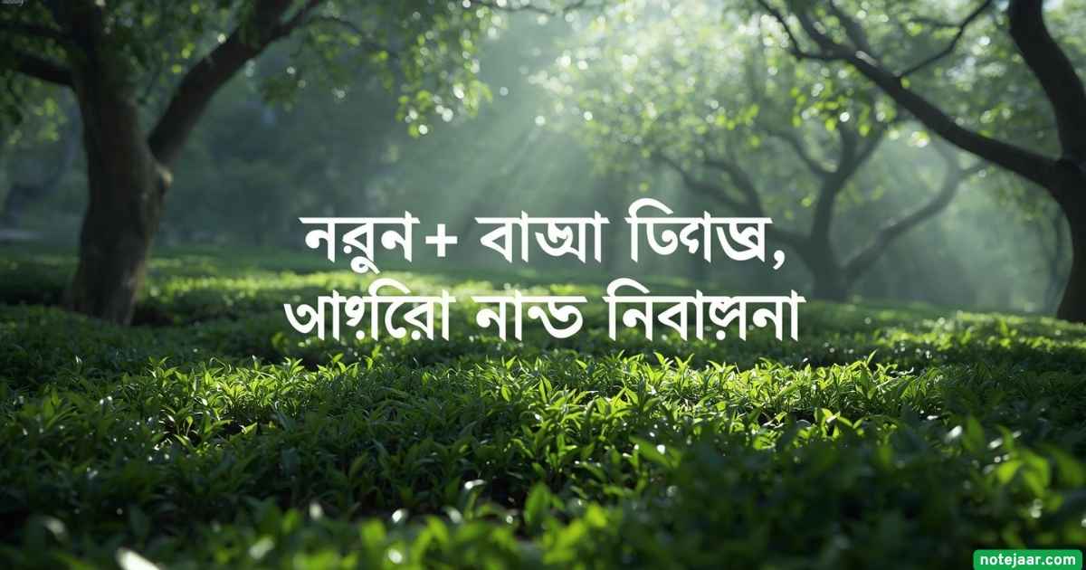 ১৪০+ চা নিয়ে, চা বাগান নিয়ে ক্যাপশন, স্ট্যাটাস ২০২৫