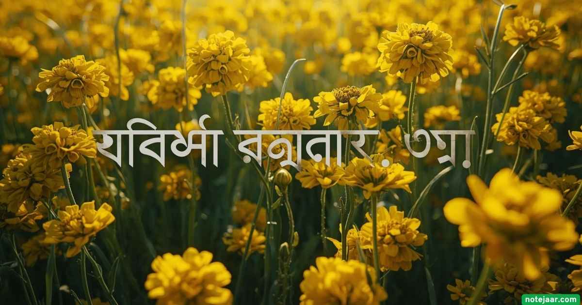 ৯৫ সরিষা ফুল নিয়ে ক্যাপশন: সরিষা ফুল নিয়ে ভালোবাসার ক্যাপশন